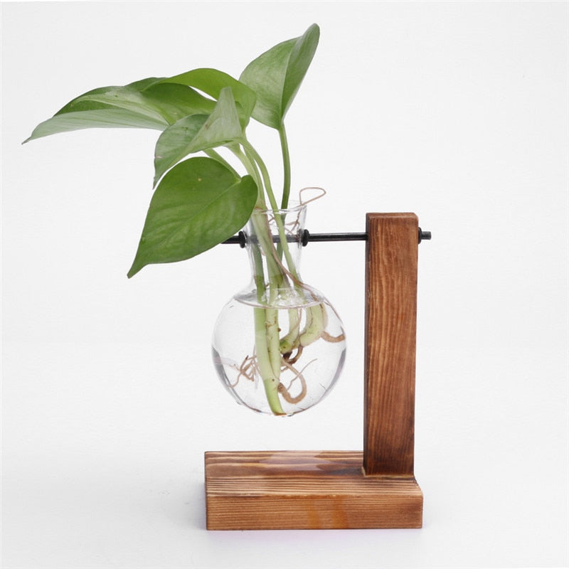 Glass and Wood Propagation Station