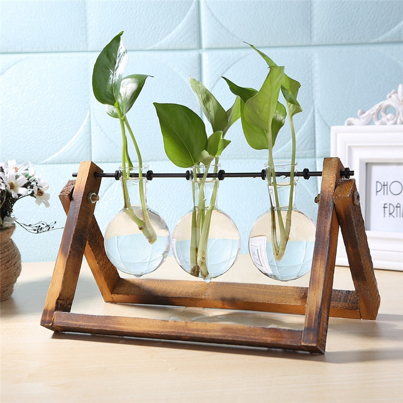 Glass and Wood Propagation Station